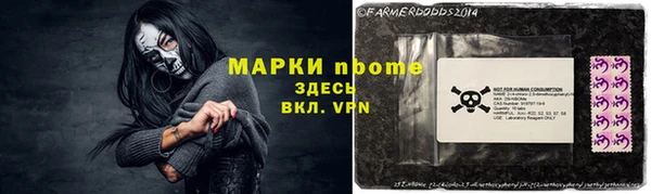 шишки Верхний Тагил