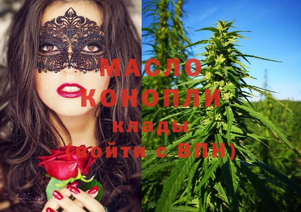гашик Гусев