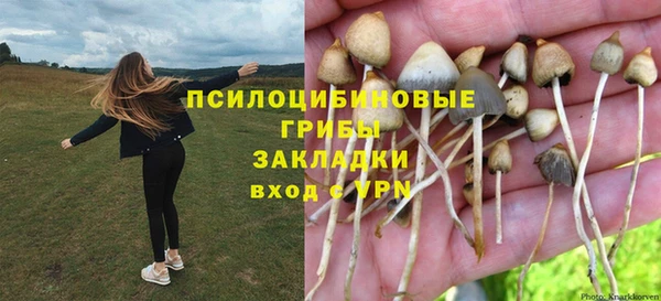 шишки Верхний Тагил