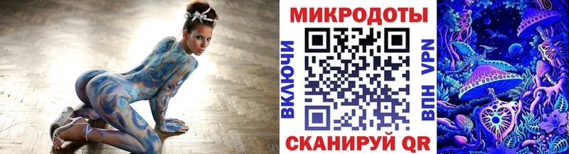 Псилоцибиновые грибы прущие грибы  блэк спрут сайт  Новоржев 
